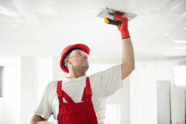 Best Pressure Washing and Painting Preparation  in Copiague, NY